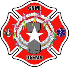 DFEMS Logo